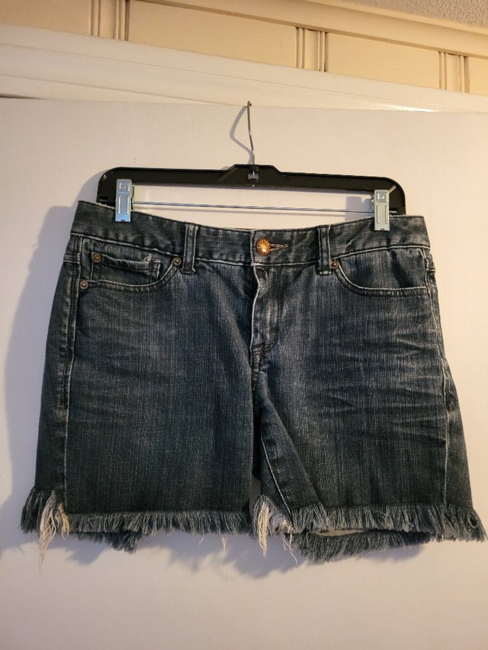 Express Jean Shorts